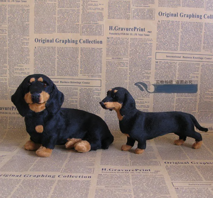 🐶The Dachys – Emotional Healing on Demand