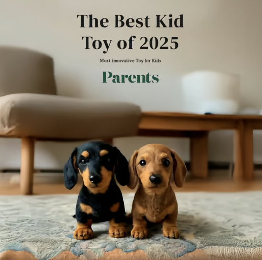🐶The Dachys – Emotional Healing on Demand